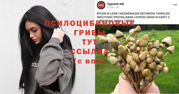 метамфетамин Аркадак