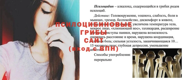 гидра Армянск