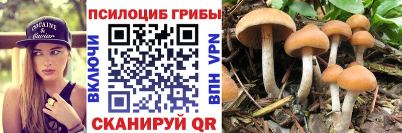 сколько стоит  Белово  Галлюциногенные грибы MAGIC MUSHROOMS 